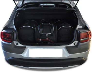 C4 Cactus